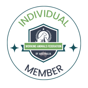 Individual Membership