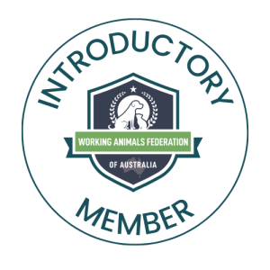 Introductory Member