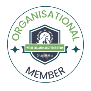 Organisational Membership