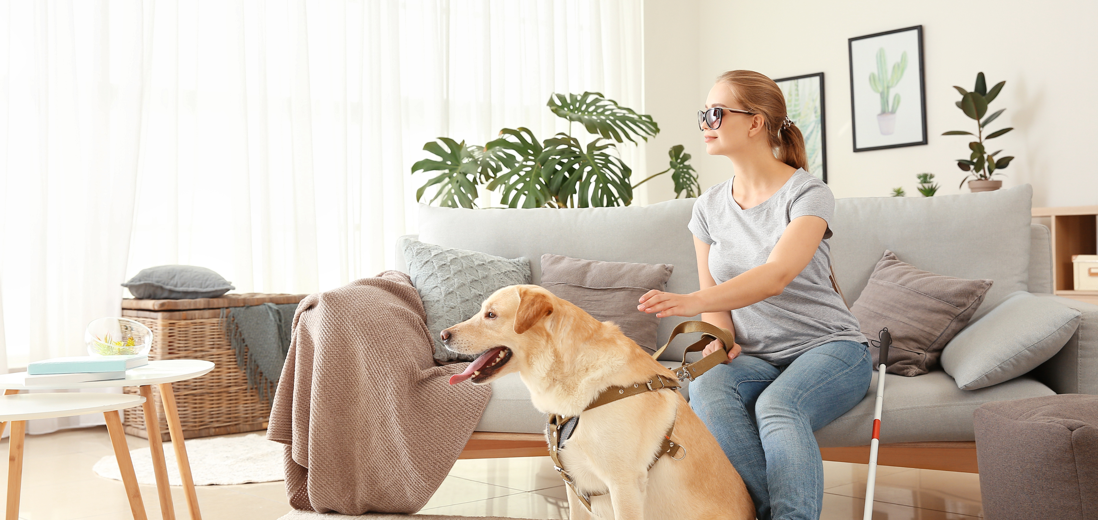 How Assistance Dogs Can Support People Living with Dementia