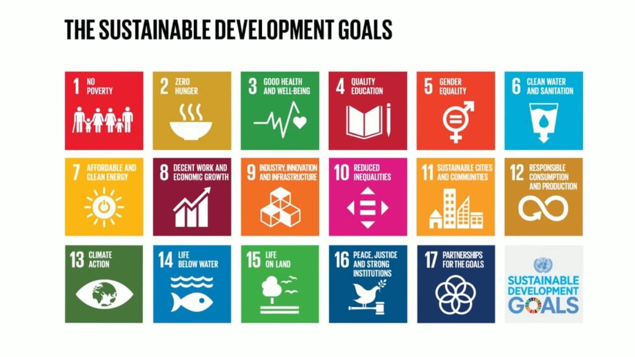 Why the United Nations (UN) Sustainable Development Goals (SDGs) Matter for Working Animal Professionals
