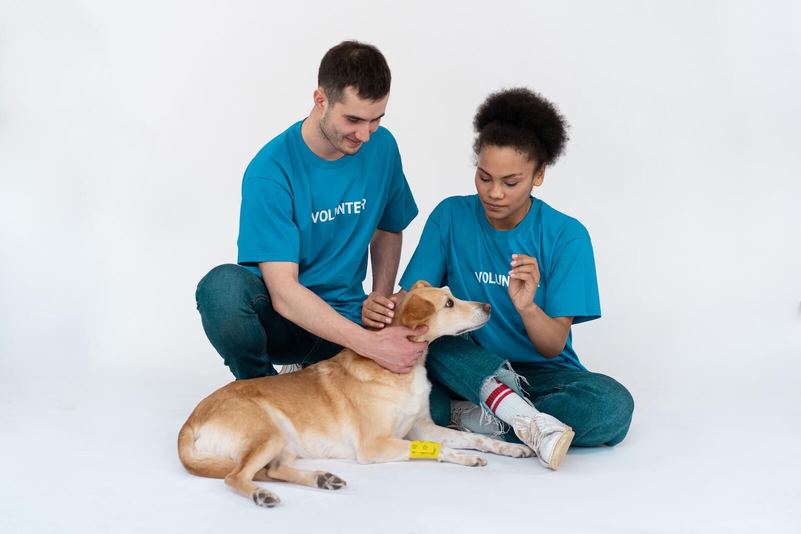Veterinary Social Work and the Emerging Need for Human–Animal Systems Social Work